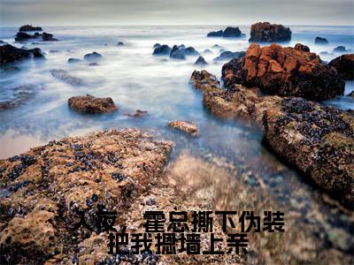 小说(入夜,霍总撕下伪装把我摁墙上亲)_霍北屿秦姜月全文阅读_入夜,霍总撕下伪装把我摁墙上亲免费阅读大结局