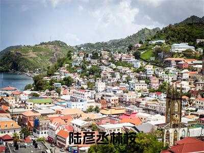 林桉陆彦丞(陆彦丞林桉)全文免费阅读无弹窗大结局_林桉陆彦丞全文免费阅读(陆彦丞林桉)最新章节列表