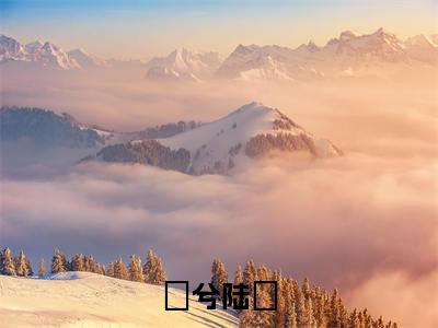 陆戰蘭兮(蘭兮陆戰)全文免费阅读无弹窗大结局_蘭兮陆戰小说最新章节列表_笔趣阁(陆戰蘭兮)