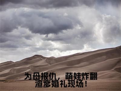 为母报仇,萌娃炸翻渣爹婚礼现场!小说全文(霍北枭沐晚晚)精选免费小说_为母报仇,萌娃炸翻渣爹婚礼现场!小说全文最新章节列表