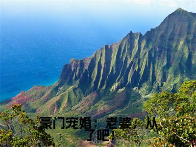 米唯一墨亦廷(豪门宠婚:老婆,从了吧!)全文阅读完整版_豪门宠婚:老婆,从了吧!小说免费阅读大结局(米唯一墨亦廷)