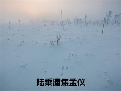 陆乘渊焦孟仪(焦孟仪陆乘渊)全文小说免费阅读_(焦孟仪陆乘渊)陆乘渊焦孟仪最新章节列表