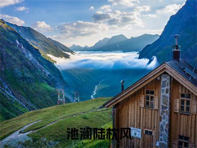 小说池澜陆枕风全文免费阅读无弹窗_(陆枕风池澜完结)池澜陆枕风小说免费阅读无弹窗最新章节列表