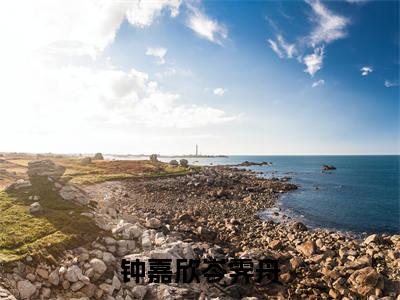 钟嘉欣岑霁舟(钟嘉欣岑霁舟)全文在线阅读无弹窗_钟嘉欣岑霁舟小说全文大结局