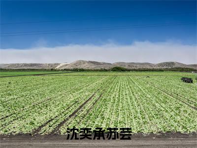 沈奕承苏芸(苏芸沈奕承)全文小说免费阅读_(苏芸沈奕承)沈奕承苏芸最新章节列表