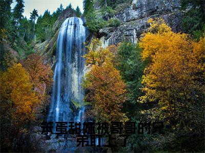 谢观澜殷书漾(笨蛋甜妹被哥哥的兄弟盯上了)小说全文-谢观澜殷书漾无弹窗免费阅读