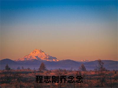 乔念念程志刚(程志刚乔念念)全文免费阅读无弹窗大结局_(程志刚乔念念无弹窗)_笔趣阁