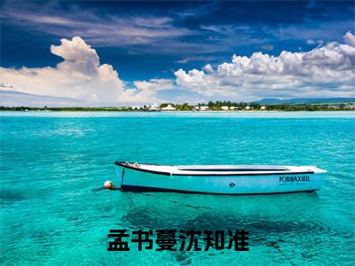 孟书蔓沈知准全文小说(沈知准孟书蔓)全文阅读-孟书蔓沈知准在线小说免费阅读