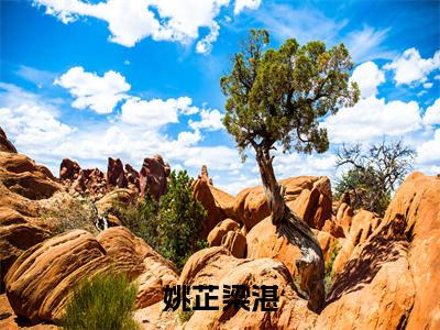 姚芷梁湛(姚芷梁湛)全文免费阅读无弹窗大结局_(姚芷梁湛阅读无弹窗)姚芷梁湛小说_笔趣阁