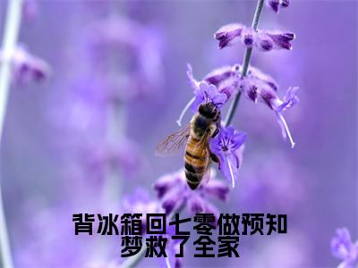 背冰箱回七零做预知梦救了全家(周念云宋竟松小说)全文免费阅读无弹窗大结局_背冰箱回七零做预知梦救了全家最新章节列表_笔趣阁(周念云宋竟松小说)