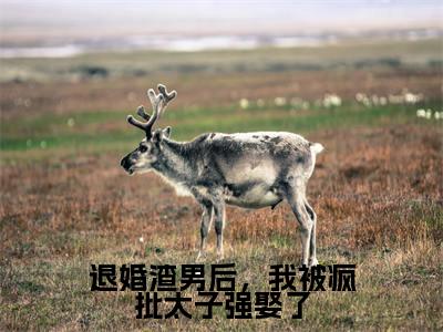 宋南枝墨北寒(退婚渣男后,我被疯批太子强娶了全文小说)全文免费阅读无弹窗大结局_退婚渣男后,我被疯批太子强娶了全文免费阅读最新章节列表