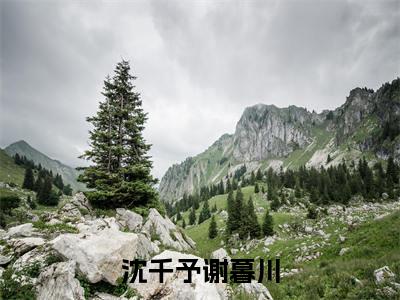 沈千予谢暮川(沈千予谢暮川)全文免费阅读_(沈千予谢暮川)沈千予谢暮川最新章节小说免费阅读_笔趣阁