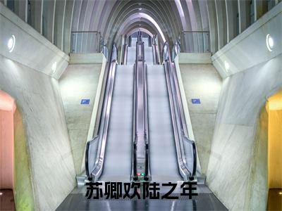 苏卿欢陆之年(苏卿欢陆之年)全文免费阅读无弹窗大结局_苏卿欢陆之年最新章节列表_笔趣阁(免费+番外)
