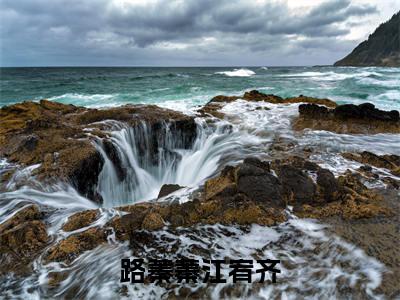 (江宥齐路蓁蓁番外+免费)路蓁蓁江宥齐小说主角叫什么-江宥齐路蓁蓁全文免费阅读大结局