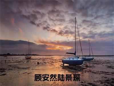顾安然陆景琛(顾安然陆景琛)全文阅读_小说顾安然陆景琛免费阅读(顾安然陆景琛)笔趣阁