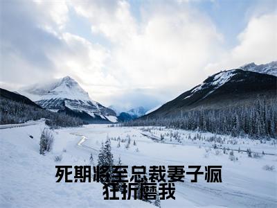 死期将至总裁妻子疯狂折磨我(盛明月)小说最新章节-小说死期将至总裁妻子疯狂折磨我(盛明月)完整版全文在线赏析