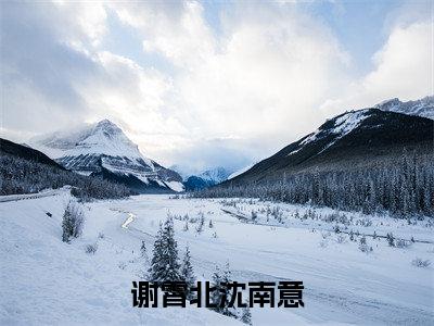 谢霄北沈南意小说最新试读_沈南意谢霄北是(谢霄北沈南意免费阅读最新章节列表)_笔趣阁(沈南意谢霄北)