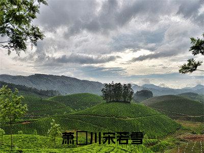 宋若雪萧璟川(萧璟川宋若雪小说)全文免费阅读无弹窗大结局_萧璟川宋若雪小说最新章节列表_笔趣阁(宋若雪萧璟川)