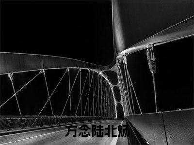 方念陆北炀最新章节(方念陆北炀小说)全文免费阅读无弹窗大结局_方念陆北炀小说免费阅读(方念陆北炀)