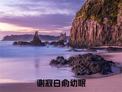 俞幼眠谢寂白(谢寂白俞幼眠)全文免费阅读无弹窗_俞幼眠谢寂白最新小说_笔趣阁