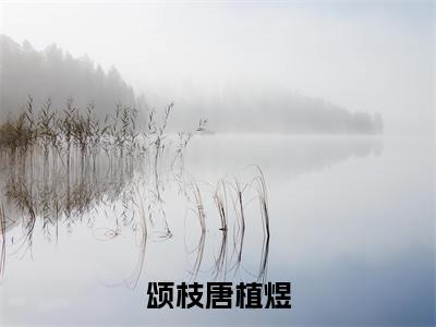 颂枝唐植煜唐植煜颂枝小说(唐植煜颂枝)全文免费阅读无弹窗大结局_唐植煜颂枝小说最新章节列表_笔趣阁