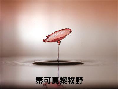 小说(秦可真黎牧野)_黎牧野秦可真全文阅读_秦可真黎牧野免费阅读大结局