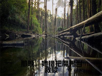 傅寒川宋挽棠全文推荐阅读,那晚,她错把魔鬼当救赎热门榜单免费新书阅读
