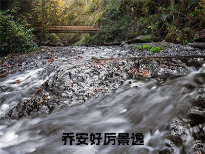 乔安好厉景逸(厉景逸乔安好)高质量小说免费阅读_乔安好厉景逸最新章节列表_笔趣阁