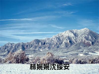 林婉婉沈绥安是哪部小说的主角-林婉婉沈绥安(林婉婉沈绥安)全文无弹窗完整版阅读林婉婉沈绥安