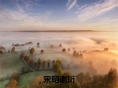宋昭谢珩全网首发最新小说,主角宋昭谢珩全文在线免费阅读