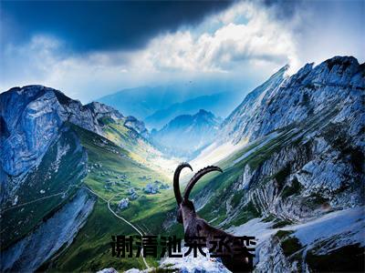宋丞奕谢清池是什么小说-（谢清池宋丞奕全文阅读）最新章节列表