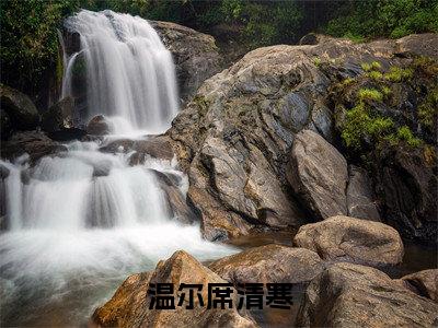 温尔席清寒(温尔席清寒小说)全文免费阅读无弹窗大结局-温尔席清寒小说最新章节列表_笔趣阁