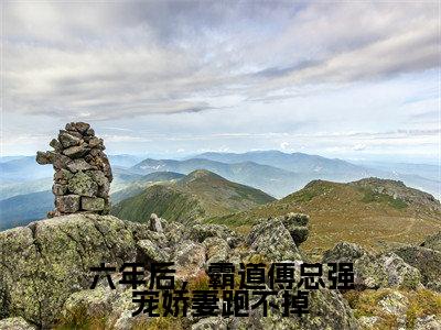 六年后,霸道傅总强宠娇妻跑不掉最新章节-(江竹傅时闻)六年后,霸道傅总强宠娇妻跑不掉全文在线阅读无弹窗