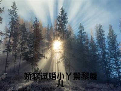 黎凝儿(娇软试婚小丫鬟黎凝儿)全文免费阅读无弹窗大结局_黎凝儿免费阅读无弹窗最新章节列表_笔趣阁