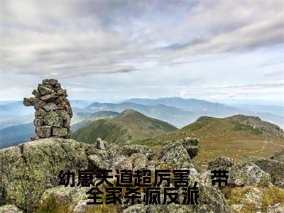 幼崽天道超厉害,带全家杀疯反派小说(蓁宝)全文免费阅读_(蓁宝)幼崽天道超厉害,带全家杀疯反派最新章节列表笔趣阁