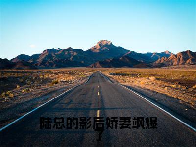 免费+后续陆总的影后娇妻飒爆了(陆璟宸阮南乔)快手热推小说主角陆总的影后娇妻飒爆了完整版在线阅读