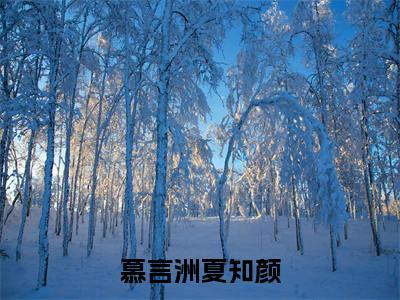夏知颜慕言洲小说免费下载阅读_（慕言洲夏知颜）夏知颜慕言洲最新章节列表_笔趣阁（慕言洲夏知颜）