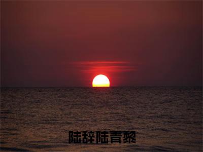 陆辞陆青黎全文免费阅读_(陆青黎陆辞小说)陆辞陆青黎言情小说在线阅读笔趣阁(陆青黎陆辞)