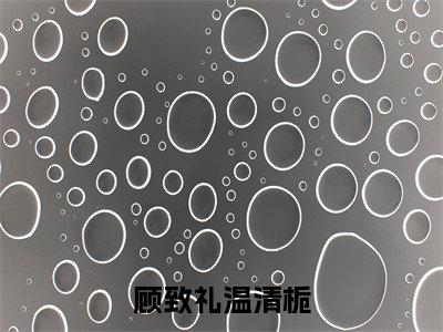 顾致礼温清栀(温清栀顾致礼)全文免费阅读无弹窗_温清栀顾致礼最新小说精彩推荐