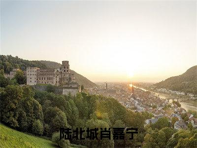 (肖嘉宁陆北城)陆北城肖嘉宁小说免费阅读-小说推荐陆北城肖嘉宁精彩章节在线阅读