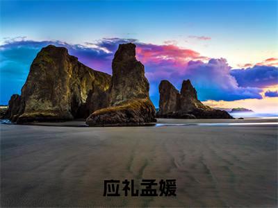 应礼孟媛(孟媛应礼)全文免费阅读无弹窗大结局_(孟媛应礼)应礼孟媛最新章节列表