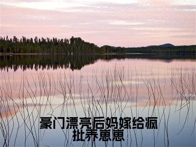 豪门漂亮后妈嫁给疯批养崽崽(林芝芝顾宴尘全文阅读)林芝芝顾宴尘新书热荐免费小说