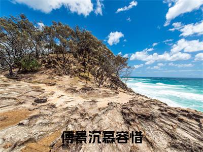 傅景沉慕容惜(慕容惜傅景沉)全文免费阅读无弹窗大结局_(慕容惜傅景沉在线阅读)最新章节列表笔趣阁(慕容惜傅景沉)