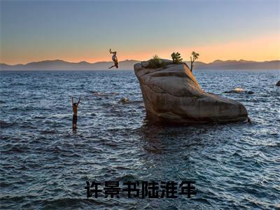 许景书陆淮年小说大结局全文免费阅读-抖音小说许景书陆淮年