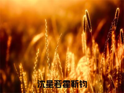 沈星若霍靳钧全文免费阅读大结局沈星若霍靳钧最新章节列表(全文)+(番外)