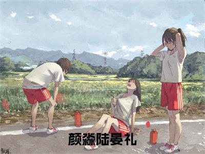 颜淼陆晏礼小说主角是(颜淼陆晏礼)全文完整版免费阅读最新章节列表_颜淼陆晏礼小说在线阅读