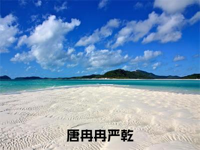 主角是唐冉冉严乾的小说(唐冉冉严乾)-(唐冉冉严乾)唐冉冉严乾全文免费阅读无弹窗大结局笔趣阁