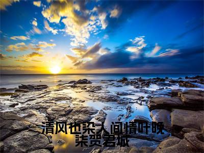 清风也染人间情叶晚柒贺君城（叶晚柒贺君城）小说全文免费阅读无弹窗-清风也染人间情叶晚柒贺君城全章节在线阅读