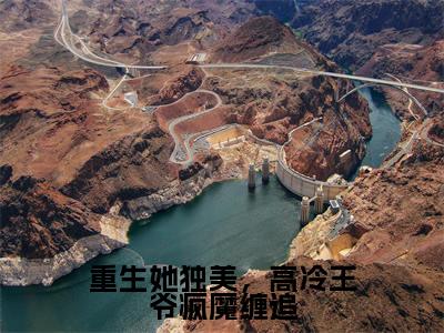 重生她独美,高冷王爷疯魔缠追(谢晚吟萧明煜)小说全文免费阅读正版无弹窗_(谢晚吟萧明煜)免费阅读无弹窗最新章节列表