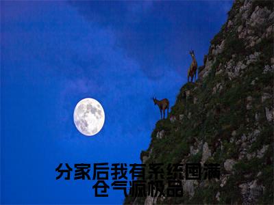 分家后我有系统囤满仓气疯极品(周葭月宋青山)全文免费阅读无弹窗_(分家后我有系统囤满仓气疯极品小说免费阅读)最新章节列表笔趣阁